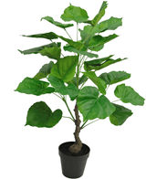 Planta artificial Ficus 60 cm