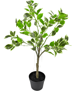 Planta artificial Ficus Henryi 60 cm verde/blanco