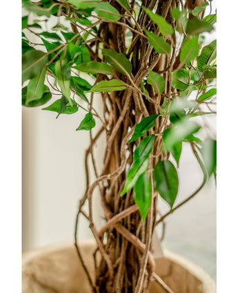 Planta artificial Ficus Liana 180 cm