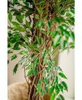 Planta artificial Ficus Liana 180 cm