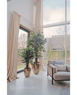 Planta artificial Ficus Liana 180 cm