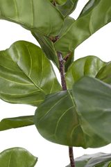 Planta artificial Ficus Planta de tabaco Deluxe 125 cm