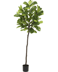 Planta artificial Ficus Planta de tabaco Deluxe 215 cm