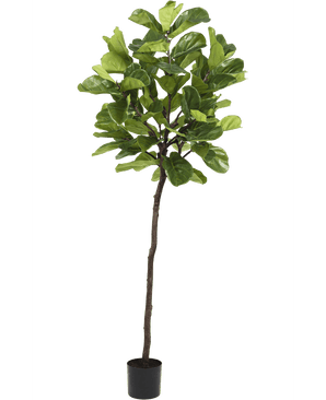 Planta artificial Ficus Planta de tabaco Deluxe 215 cm