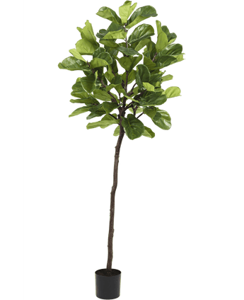 Planta artificial Ficus Planta de tabaco Deluxe 215 cm