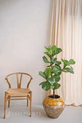 Planta artificial Ficus Planta de tabaco Deluxe 125 cm