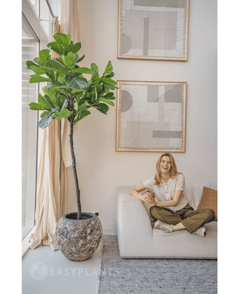 Planta artificial Ficus Planta de tabaco Deluxe 215 cm