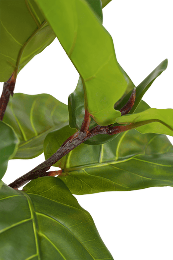 Planta artificial Ficus Planta de tabaco Deluxe 125 cm