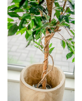 Planta artificial Ficus Verde 150 cm