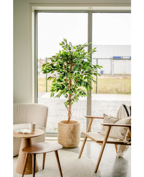 Planta artificial Ficus Verde 180 cm