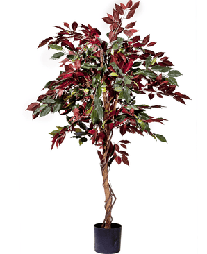 Planta artificial Ficus verde/rojo 150 cm