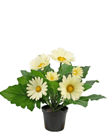 Planta artificial Gerbera 28 cm blanca