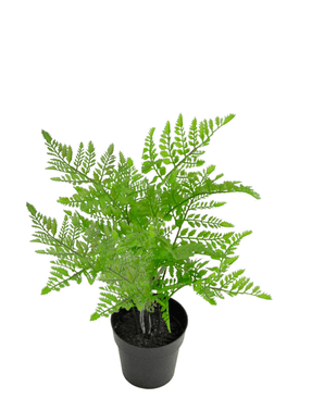 Planta artificial Helecho 35 cm