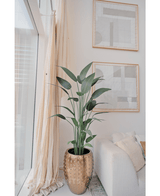 Planta artificial Heliconia 180 cm