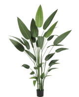 Planta artificial Heliconia 210 cm