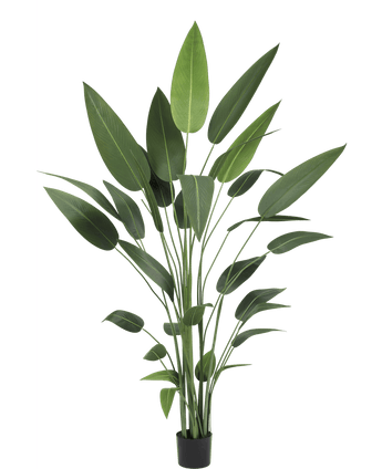 Planta artificial Heliconia 210 cm