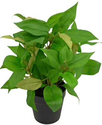 Planta artificial House Wanderer en maceta 35cm