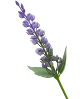 Planta artificial Lavanda 43 cm