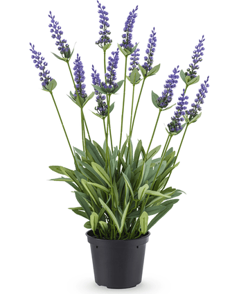 Planta artificial Lavanda 44 cm