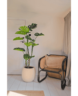 Planta artificial Monstera 150 cm