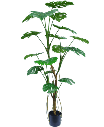 Planta artificial Monstera 180 cm