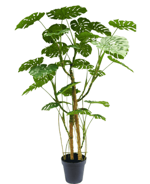 Planta artificial Monstera 240 cm