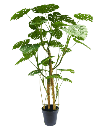 Planta artificial Monstera 240 cm