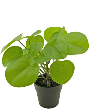 Planta artificial Pancake 27 cm