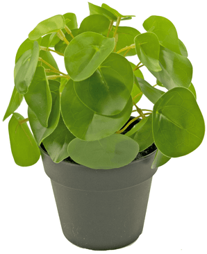 Planta artificial Pancake mini 20 cm