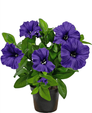 Planta artificial Petunia 25 cm morada