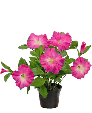 Planta artificial Petunia 25 cm rosa oscuro