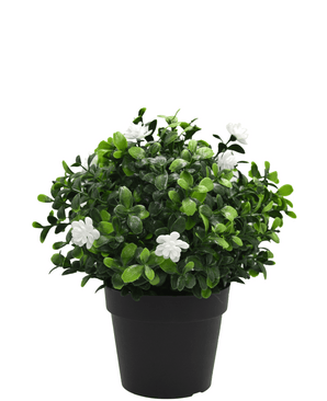 Planta artificial Pumila 21cm UV