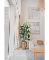 Planta artificial Schefflera 150 cm
