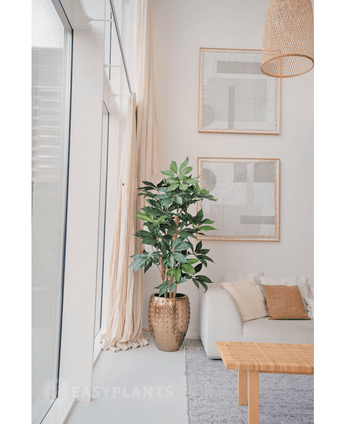 Planta artificial Schefflera 150 cm