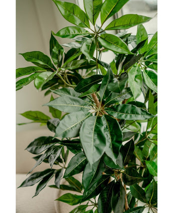 Planta artificial Schefflera 150 cm