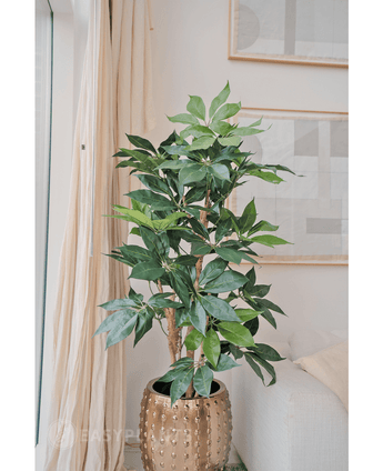 Planta artificial Schefflera 150 cm