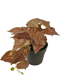 Planta artificial Scindapsus 18 cm