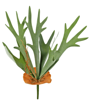 Planta artificial Staghorn 53 cm
