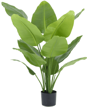 Planta artificial Strelitzia Real Touch Deluxe 120 cm