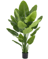 Planta artificial Strelitzia Real Touch Deluxe 180 cm