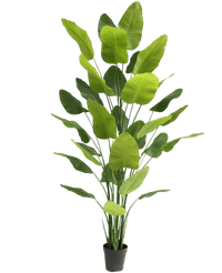 Planta artificial Strelitzia Real Touch Deluxe 300 cm