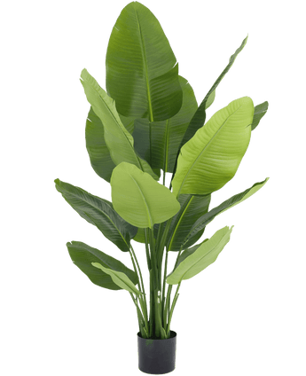 Planta artificial Strelitzia Real Touch Deluxe 150 cm