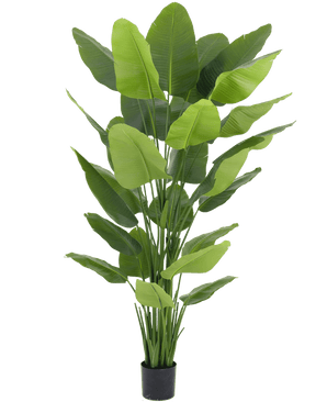 Planta artificial Strelitzia Real Touch Deluxe 210 cm