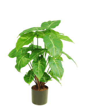 Planta artificial Syngonium 58 cm