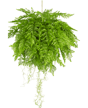 Planta artificial colgante Helecho con raíces d55 cm con sistema para colgar