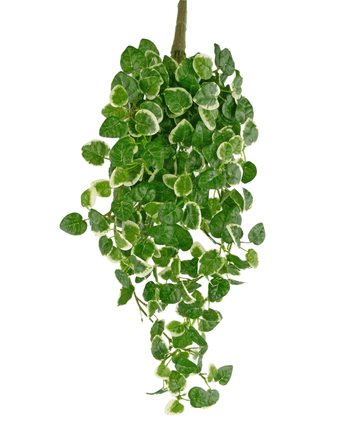 Planta artificial de pared Pumila 50 cm