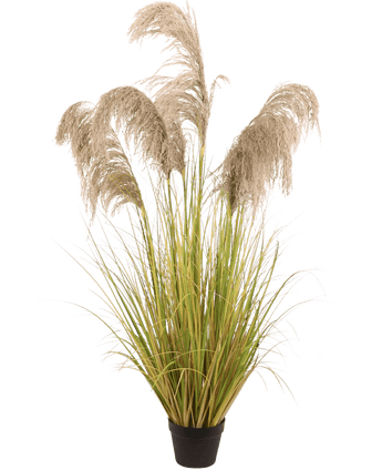 Planta artificial silvestre Juncos Pampa 150 cm
