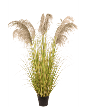 Planta artificial silvestre Juncos Pampa 170 cm