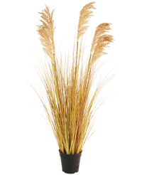 Planta artificial silvestre Juncos Sorgo 110 cm