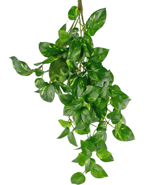 Planta colgante artificial Golden Vine Deluxe 60 cm